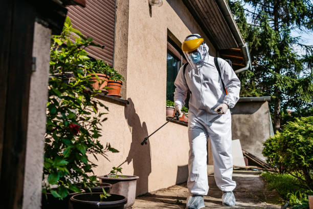Best Flea Control Services  in Felton, DE