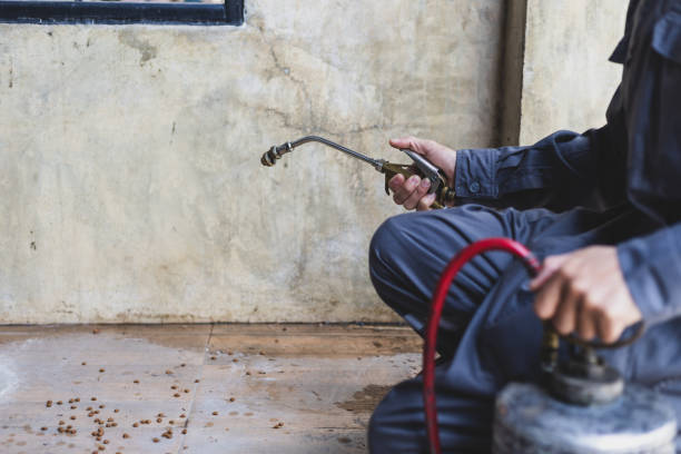 Pest Control for Restaurants in Felton, DE
